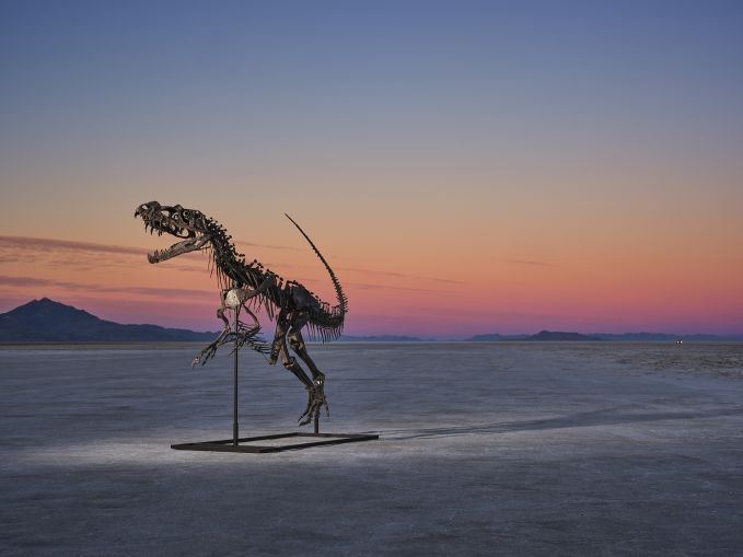 This juvenile Ceratosaurus fossil was estimated to sell for between $4 million and $6 million, but fetched $30.5 million in 2025.